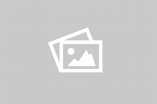 HLB 8300 P BK